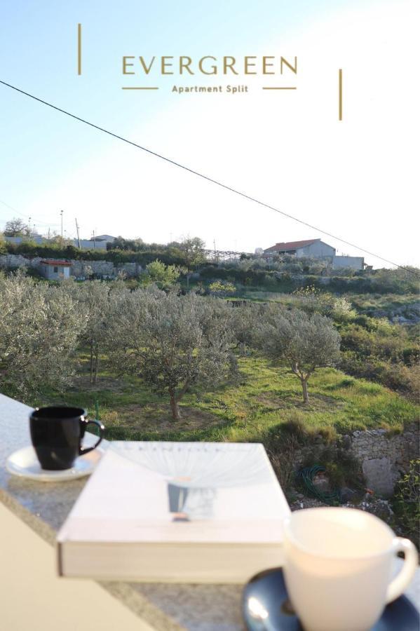Apartment Evergreen Split Dış mekan fotoğraf